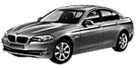 BMW F10 P294D Fault Code